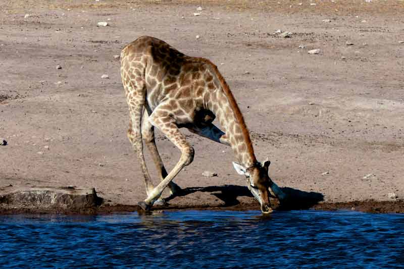Namibia